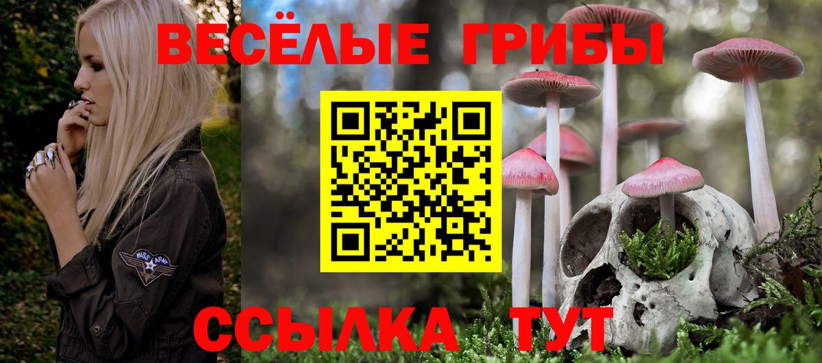 Псилоцибиновые грибы Magic Shrooms  даркнет сайт  Шарыпово  Вход с VPN 