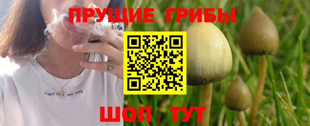 Галлюциногенные грибы Magic Shrooms Шарыпово